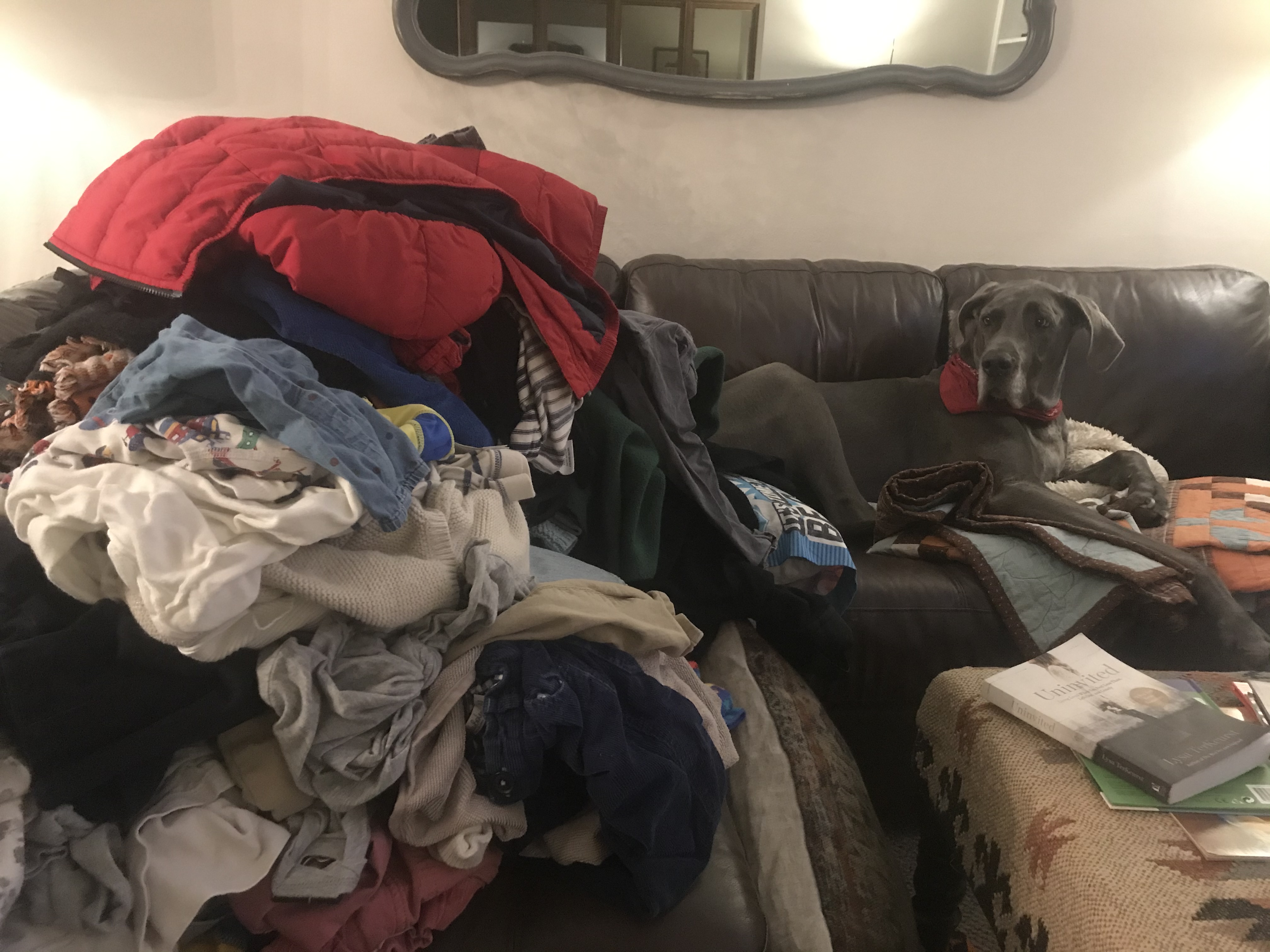 E9D1A3FB-274A-48B4-A883-6B48A9648445